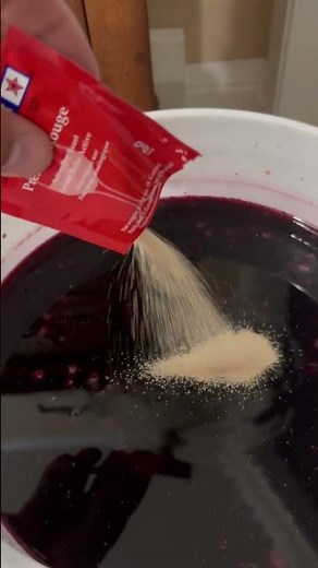 How to Make Wine - Adding Yeast to a 6 Gallon Batch of Blueberry Wine for Fermentation - Wine Making