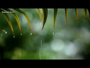 10 Hours of Relaxing Music, Sleep Music with Rain Sound, Piano Music for Stress Relief