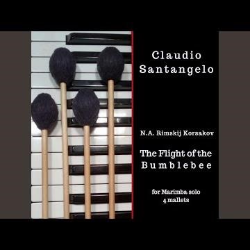 The Flight of the Bumblebee (N.A.Rimskij-Korsakov, arr. C.Santangelo)
