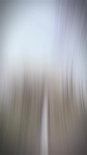 Vidéos de Tou Lor (@tou.lor79) avec nhạc nền - 𝐓𝐬𝐮𝐚 𝐙𝐞𝐛 𝐌uas «𝐁ear»