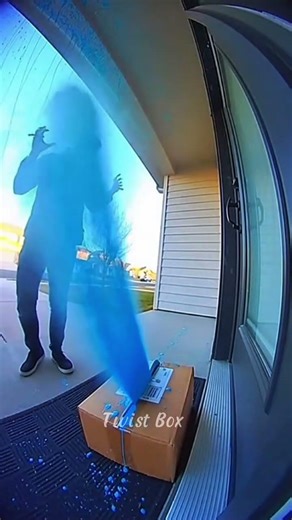 Twist Box | Every Delivery Has a Secret#TwistBox #DoorstepStories