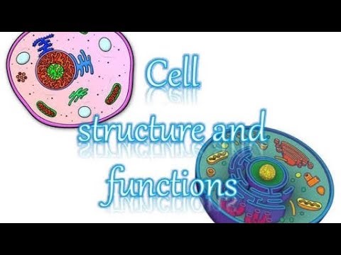 Cell-structure and function Lecture -1