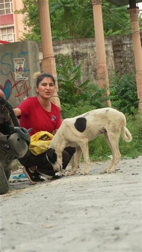 This Dog Was Starving… 🥺#minivlog #minivlogshorts #doglover