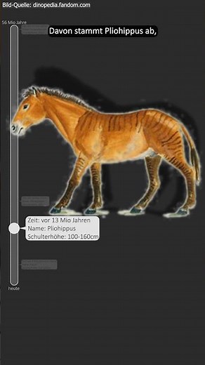 Die Evolution des Pferdes in 45 Sekunden 🐴📆⏳