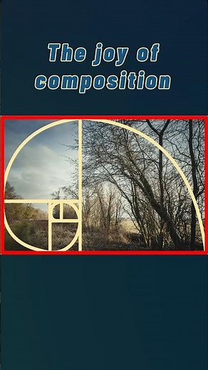 Try These Easy Composition Tricks To Improve Your Photography