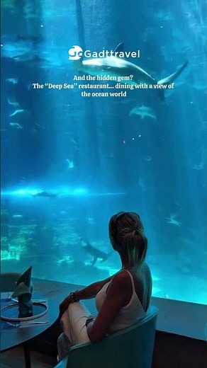 Welcome to the most impressive aquarium in Phu Quoc, Vietnam 🐠✨