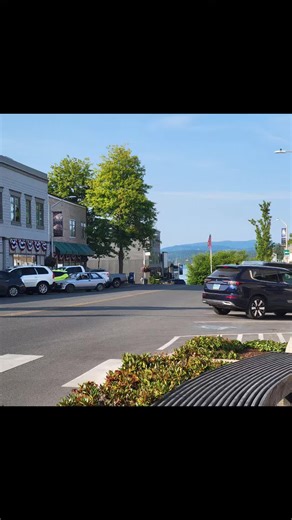 Exploring San Juan Islands: A Day with Nature and Fun