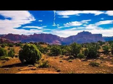 Robert Gray - An Introduction for the HSC