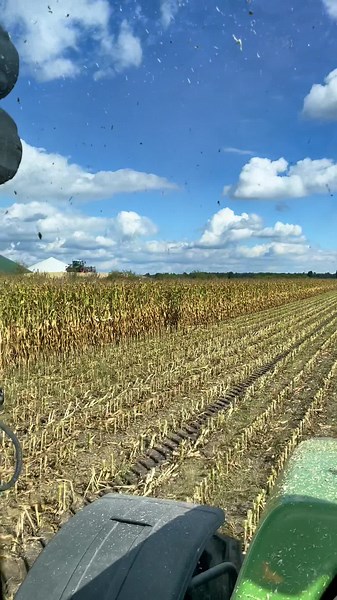 Harvesting Corn: Inside the Tractor's Cab