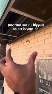 Perception is subjective