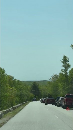 Acadia National Park Wildlife You Need to See: Beavers, Falcons, and Seals in Maine!