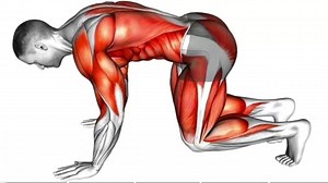 10 Best Exercises to improve your mobility 💪 | Osama Workout