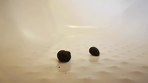 Cruel Male Feet Crushing snails