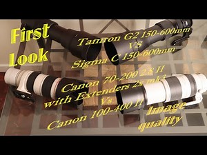 Canon 70-200 2.8 II with 2.0 x extender vs Canon 100-400 II L image quality Test