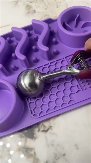 Homemade Dog Food Recipe for Your Pet