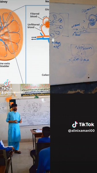 Engaging Science and Biology Activities with Students