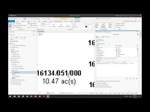 ArcGIS Pro Simple Labels with Arcade - November 2020