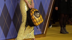 Claudia Schiffer's cat steals the show at 'Argylle' movie premiere red carpet
