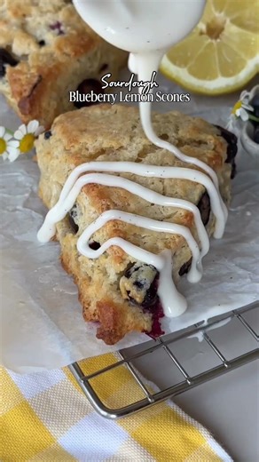 Sourdough Blueberry Lemon Scones 🍋🫐 #sourdoughrecipe #blueberry #lemon #scone #easter #spring