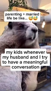 1.4M views · 6.8K reactions |  having fun trying to parent while...