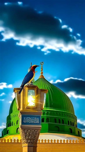 Main Gulame Mustafa Hon #ytshorts #youtubeshorts #viral #trending #trendingshorts