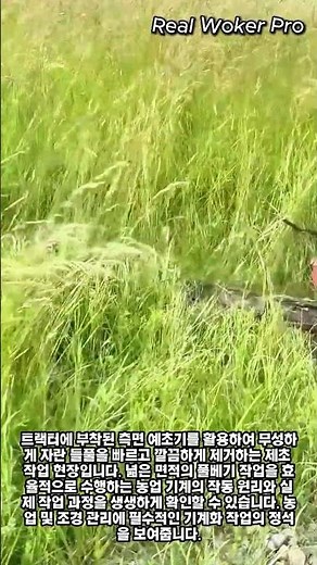 트랙터 부착형 예초기 제초 작업 #worker #process #tractor #mowing #agriculture