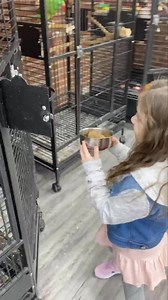 5.5K views · 407 reactions | I had an amazing helper at the store today!! Thank you Parker! #parrotstars #family #niece #love #auntie #helper #preschool #animals #animallovers #kidsofinstagram #kids #kidfriendly #familybusiness #smallbusiness #chicago #arlingtonheights #happylife | Parrot Stars | Facebook