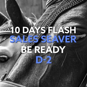 D-2 // 10 Days FLASH Sales Seaver ⚡️ From January 29th, don't miss our exceptional offer: get the CEEFIT CEEFIT Pulse & ECG pack at a reduced price and a pair of tactile gloves for free. And this, to be cumulated with the discount on the first purchase⎪Split payment available! Be ready ⏳ - Visit our e-shop: http://bit.ly/3pn3j4M | Seaver