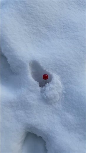 Extreme Snow! What Happens at –10°C? ❄️🥤#shortsviral