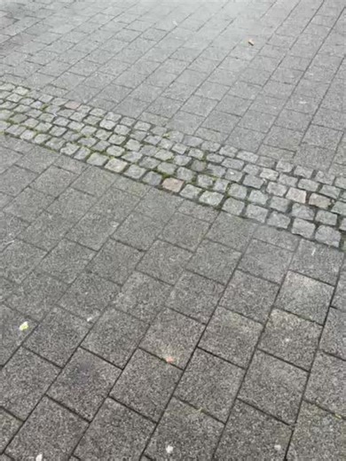 Exploring the Life of a Bus Driver: A Day in the Life