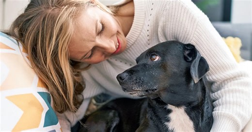 Long-Term Shelter Dogs: What You Need to Know Before Adopting