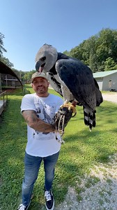 One day or day one 🙏🪶 #reel #netogamiz | Raptor Behavior