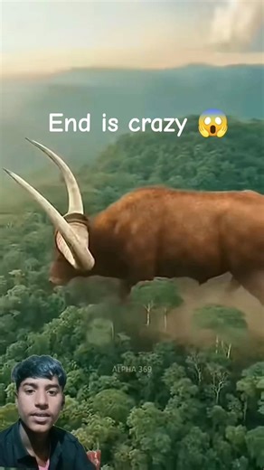 GIANT OX 😱 Biggest Bull Ever Seen | Unbelievable Size!