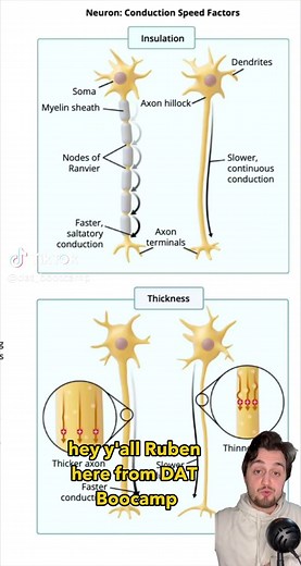 DAT Bootcamp | #1 DAT Resource on TikTok