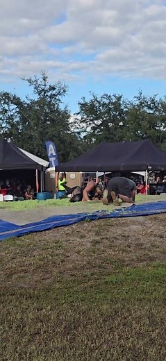 cabbage patch come slaw wrestling