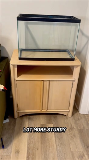 FISH TANK PROJECT #project #setup #diy #fyp #shorts #aquarium #fish #fishtank #breeding