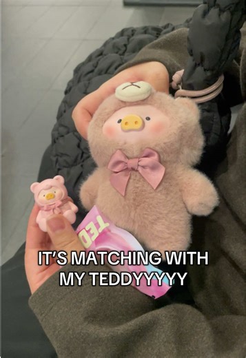 Mini Teddy Unboxing Surprise!