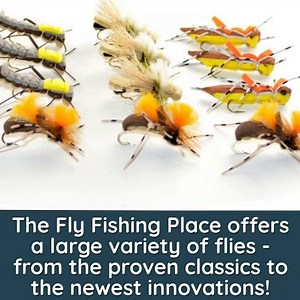 The Fly Fishing Place Bead Head Green Copper John Nymph Fly Fishing Flies - Set of 6 Flies Hook Size 12