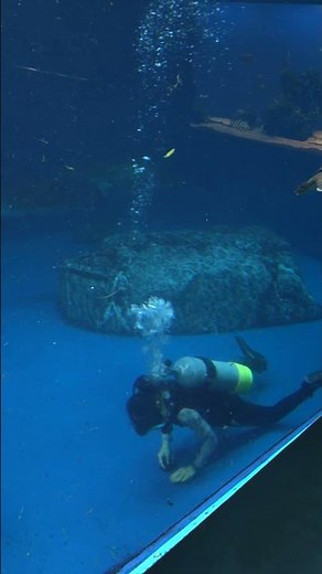 鳥羽水族館 水槽内を清掃