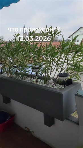 Test Alarm NRW 2026: What to Expect on March 12th