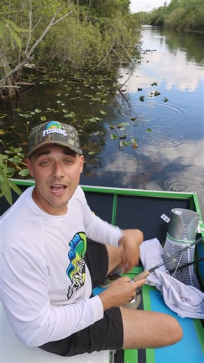 Fishin in the swamp #Gator #Swamp #fishing | RAWWFishing