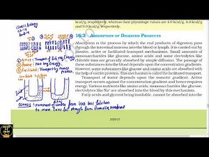 Part 4 Digestion and absorption||How digested food absorbed||Class 11th Biology NCERT