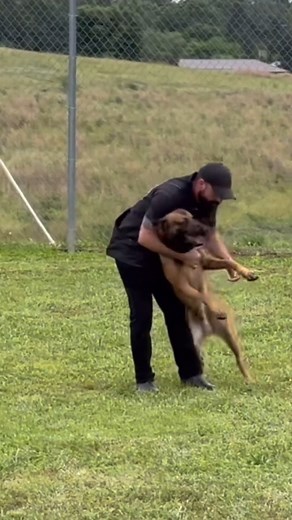 When your dog shows up on trial day 🏆 | Andy Krueger