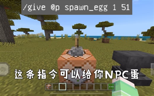 分享我的世界一些服务器指令