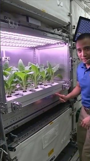 How NASA Grows PLANTS In Space?