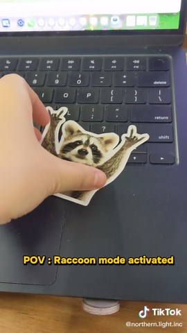 Your laptop needs this. #rocking #funny #raccoon #cute #trend | Raccoon