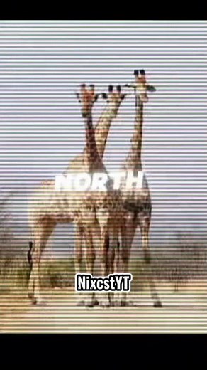 7 continents song-Hopscotch