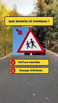 Le secret pour réussir le code ? Comprendre, pratiquer et rester concentré. Vous pouvez réussir dès