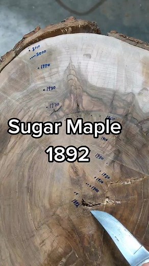 Neil Thompson on TikTok