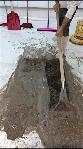 Professional Tools for Rug Cleaning - Demo ASMR Relaxation